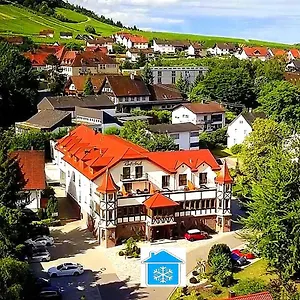 hotel-rebstock-baden-baden.hotelsheidelberg.net/